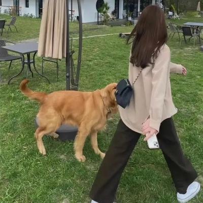 血色附身
